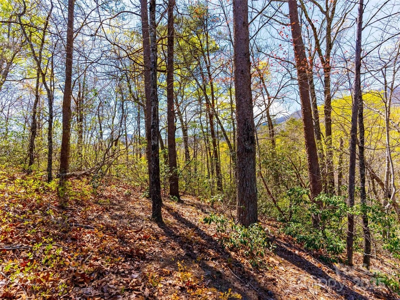 107 Deep Gap Rd, Mill Spring, NC 28756
