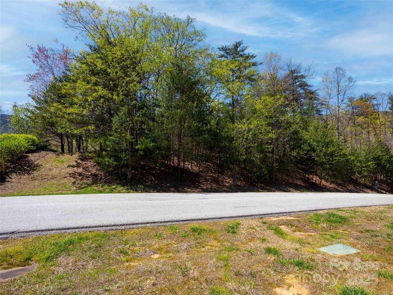 107 Deep Gap Rd, Mill Spring, NC 28756