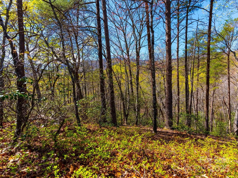 107 Deep Gap Rd, Mill Spring, NC 28756