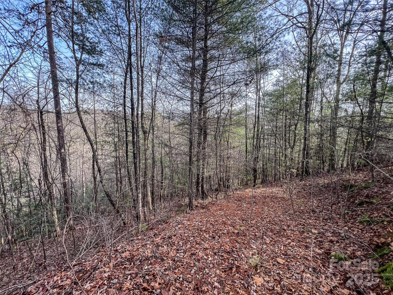 0000 Stepp Ridge Ct, Hendersonville, NC 28792