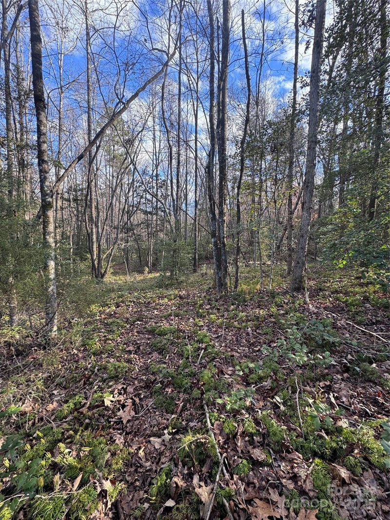 Hearthstone Dr #70, Union Mills, NC 28167