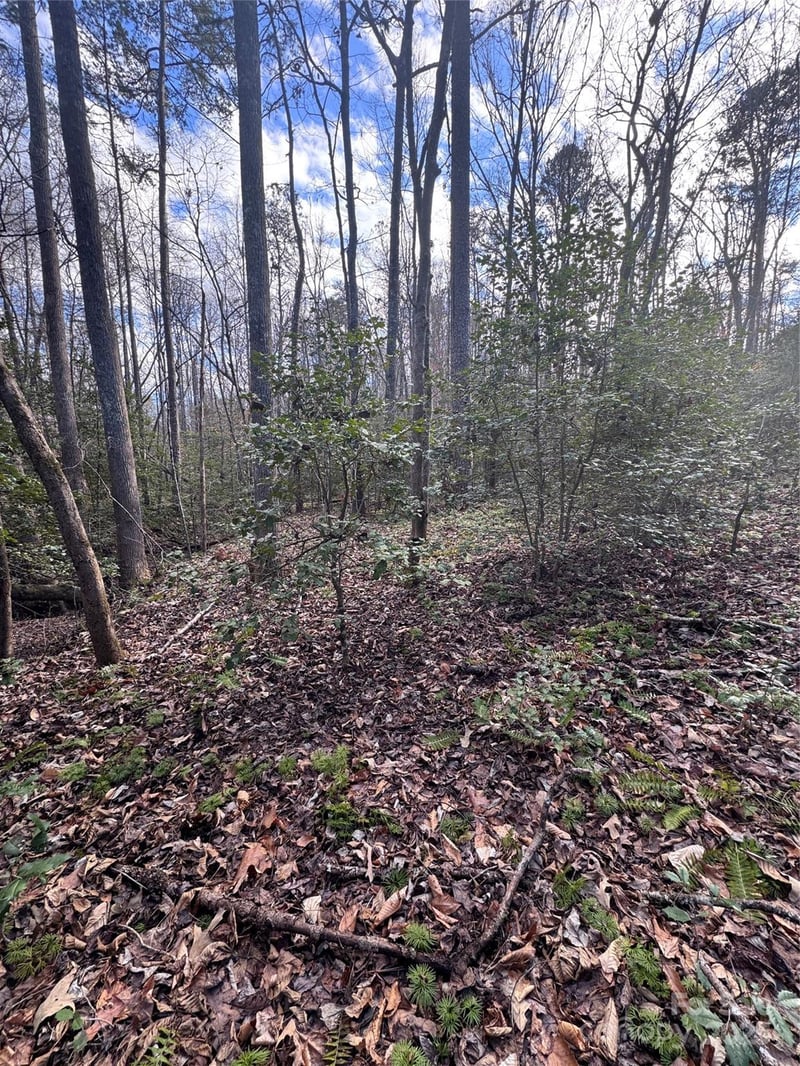 Hearthstone Dr #70, Union Mills, NC 28167