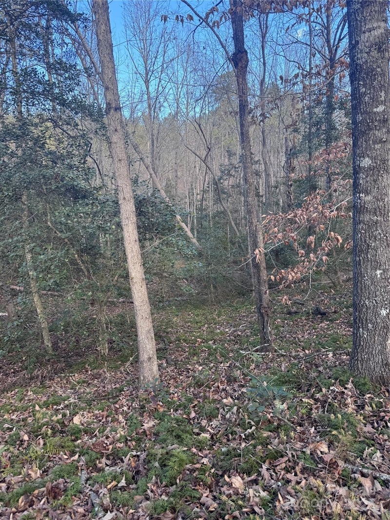 Hearthstone Dr #70, Union Mills, NC 28167