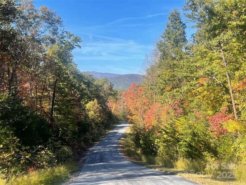 lot 46 Bald Eagle Ln #46, Marion, NC 28752