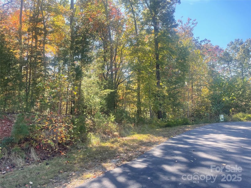 lot 46 Bald Eagle Ln #46, Marion, NC 28752