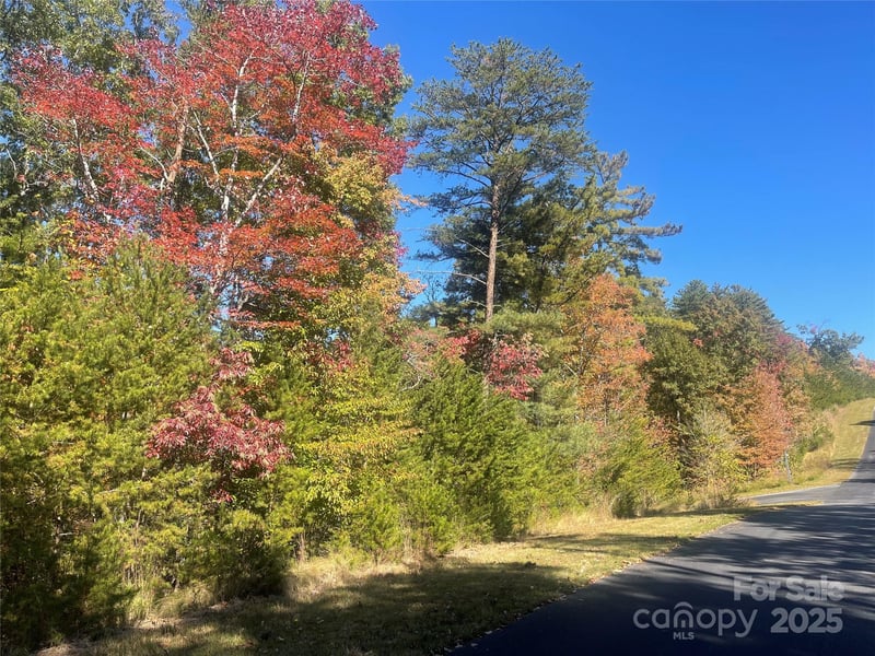 lot 46 Bald Eagle Ln #46, Marion, NC 28752