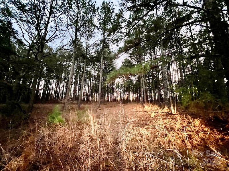 TBD Wateree Rd, Great Falls, SC 29055