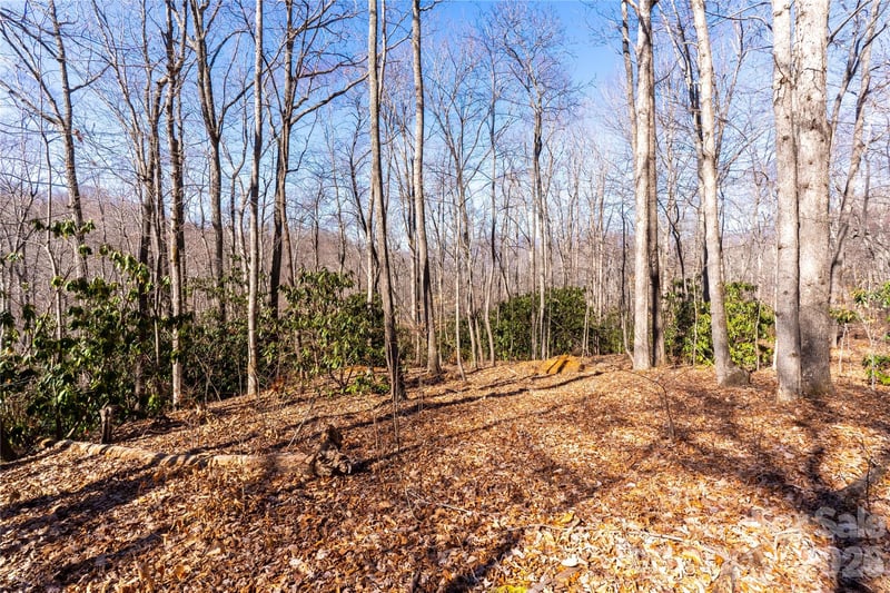 1248 Arborcrest Way #46, Swannanoa, NC 28778