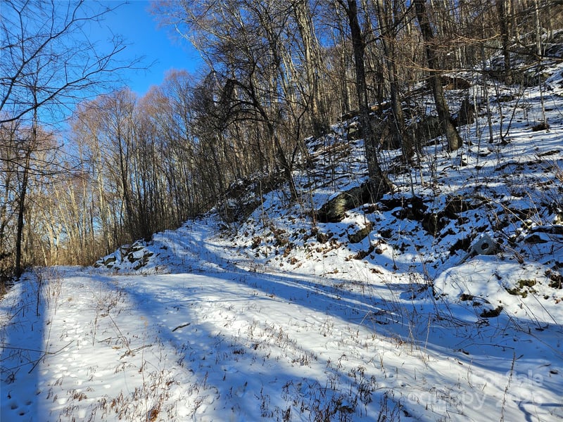 00 Marney's Vista Rd, Waynesville, NC 28786
