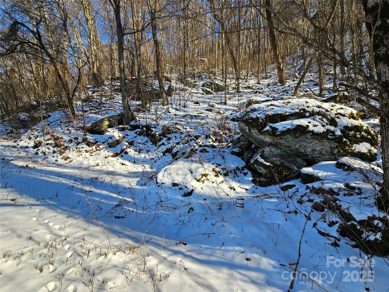 00 Marney's Vista Rd, Waynesville, NC 28786
