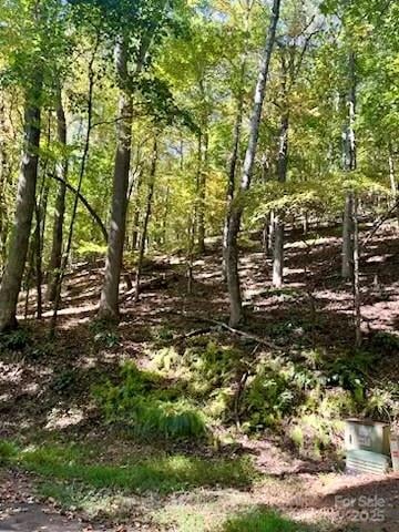 TBD Hickory Vista Ln #101, 102, 103, 106, 107, Mills River, NC 28759
