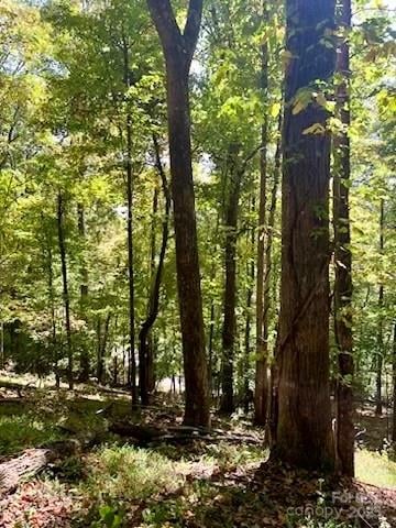 TBD Hickory Vista Ln #101, 102, 103, 106, 107, Mills River, NC 28759