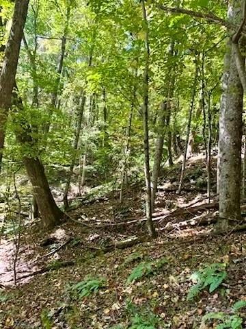 TBD Hickory Vista Ln #101, 102, 103, 106, 107, Mills River, NC 28759