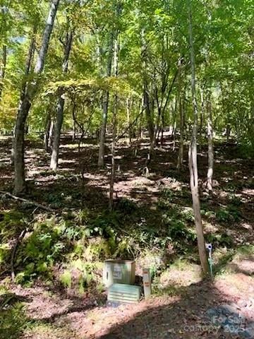 TBD Hickory Vista Ln #101, 102, 103, 106, 107, Mills River, NC 28759
