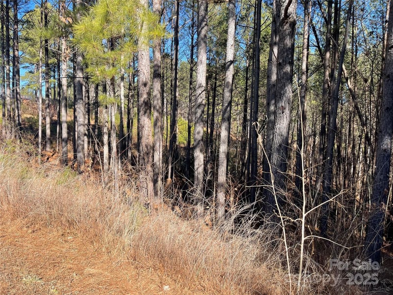 109 Shortoff Trl, Valdese, NC 28655