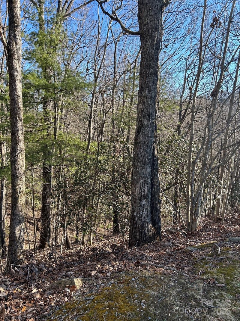 210 Thistlewynd Trl, Hendersonville, NC 28739