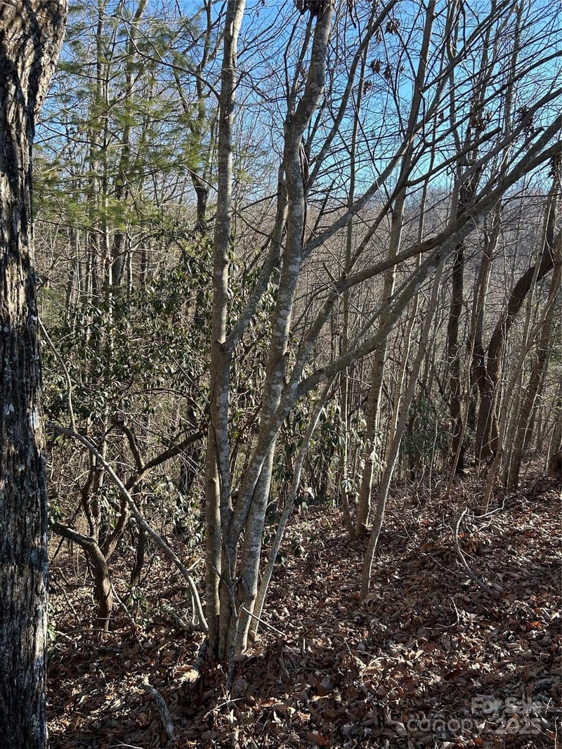 210 Thistlewynd Trl, Hendersonville, NC 28739