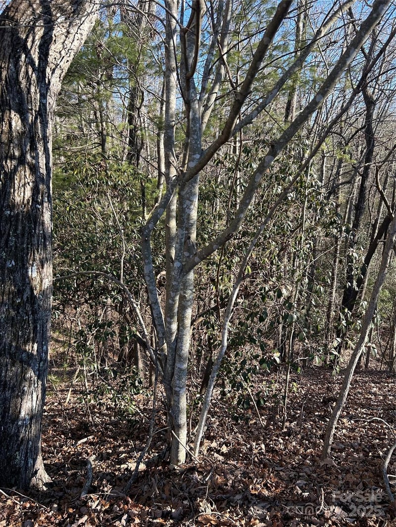 210 Thistlewynd Trl, Hendersonville, NC 28739