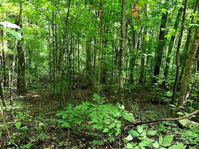 00 Red Oak Ln Lot 24, Burnsville, NC 28714