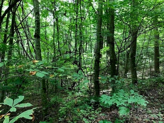 00 Red Oak Ln Lot 24, Burnsville, NC 28714