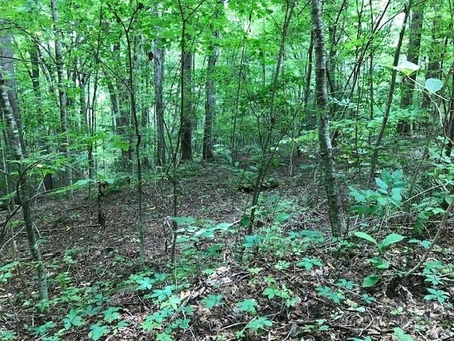 00 Red Oak Ln Lot 24, Burnsville, NC 28714