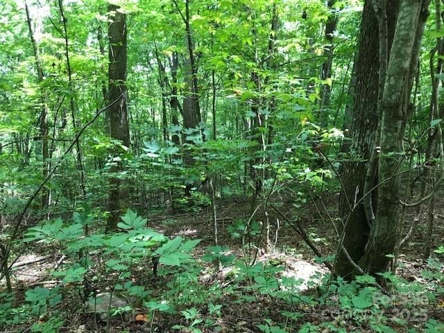 00 Red Oak Ln Lot 24, Burnsville, NC 28714