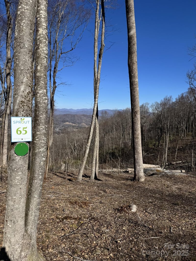 0000 West Garden Trl Lot 65, Hendersonville, NC 28792