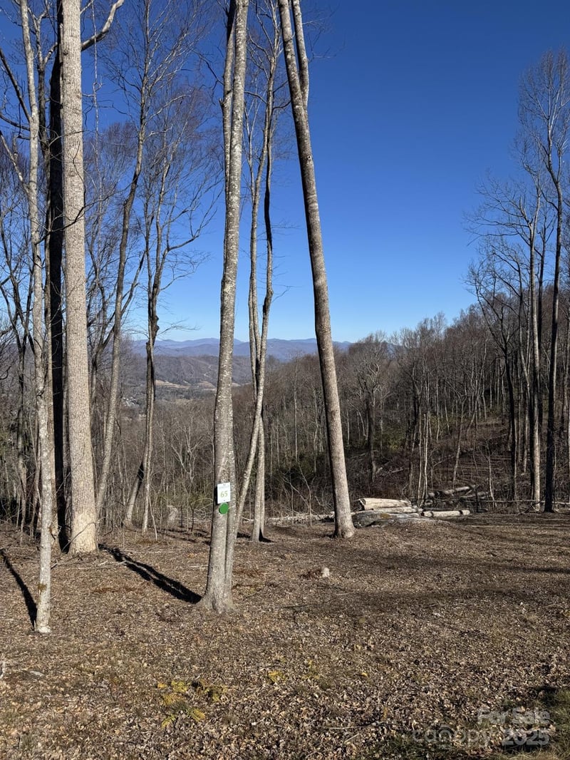 0000 West Garden Trl Lot 65, Hendersonville, NC 28792