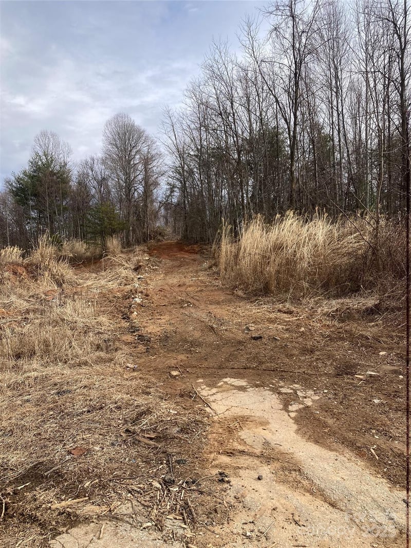 1638 Continental Divide Rd #1, Flat Rock, NC 28731