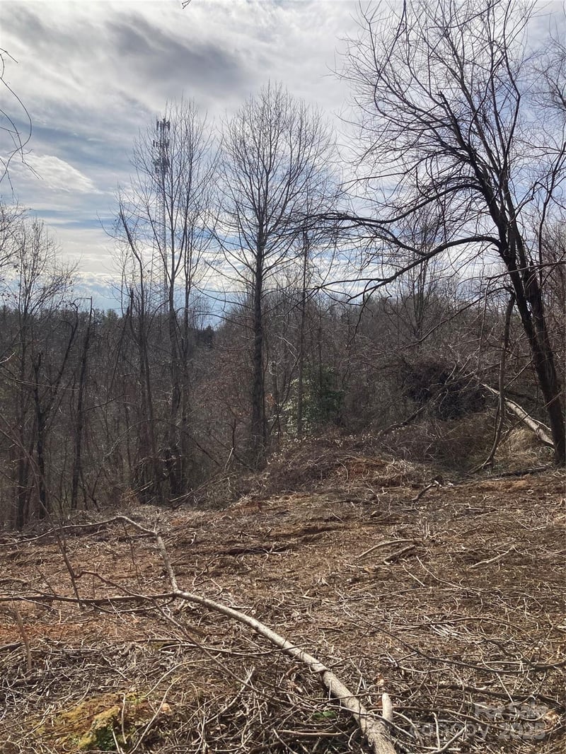 1638 Continental Divide Rd #1, Flat Rock, NC 28731