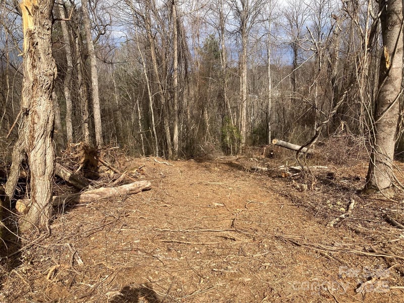 1638 Continental Divide Rd #1, Flat Rock, NC 28731