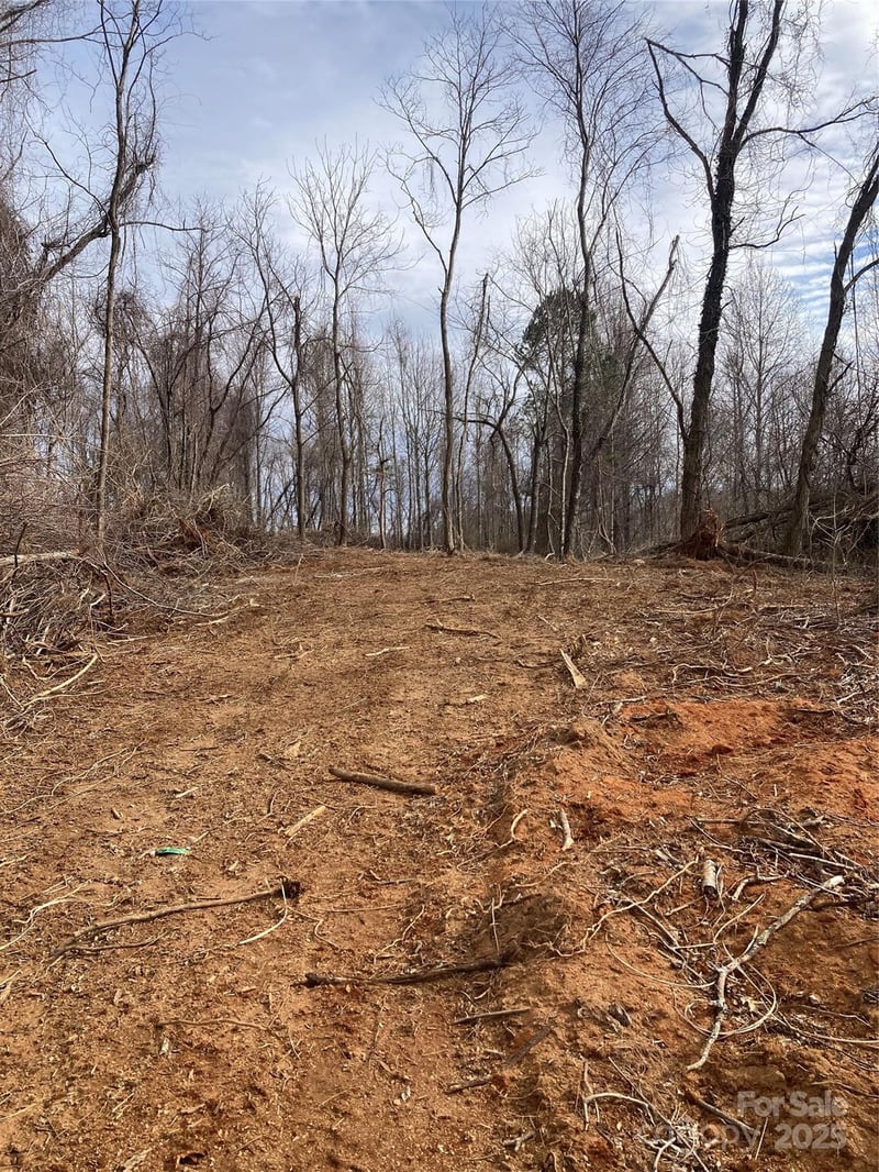 1638 Continental Divide Rd #1, Flat Rock, NC 28731