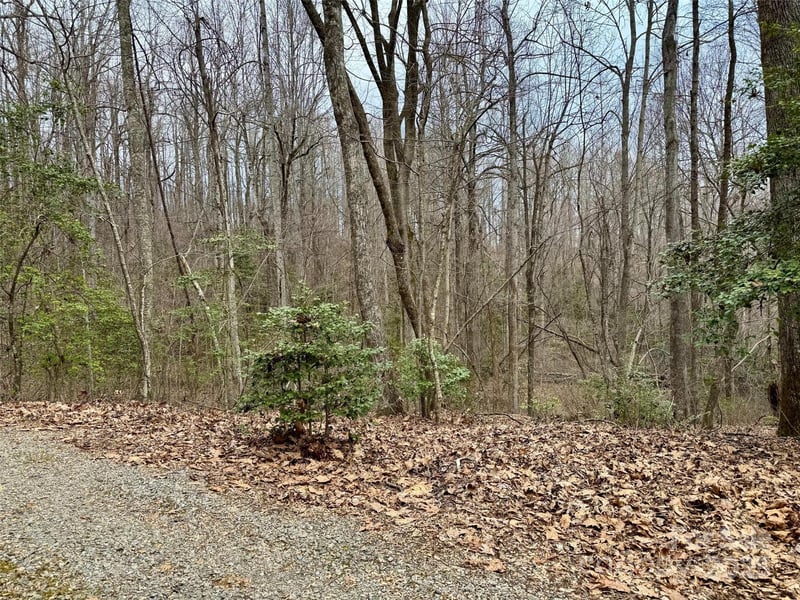 000 Orchard Mountain Rd, Saluda, NC 28773