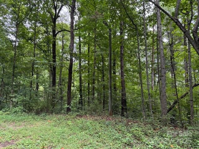 000 Orchard Mountain Rd, Saluda, NC 28773