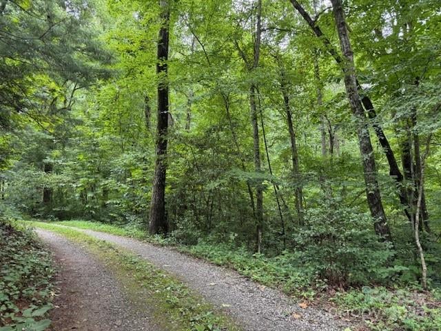 000 Orchard Mountain Rd, Saluda, NC 28773