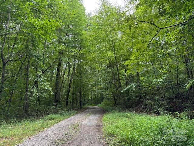 000 Orchard Mountain Rd, Saluda, NC 28773
