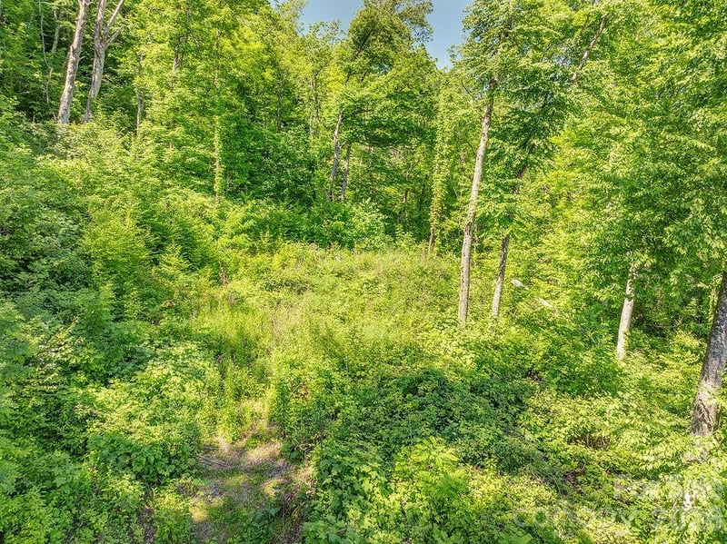 93 Patchens Estate Rd #17, Waynesville, NC 28786