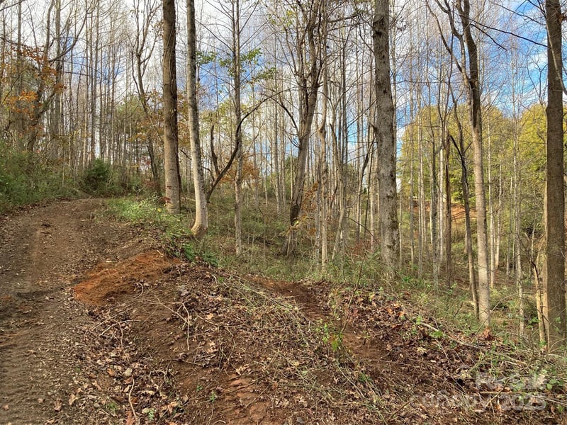 1638 Continental Divide Dr #2, Flat Rock, NC 28731