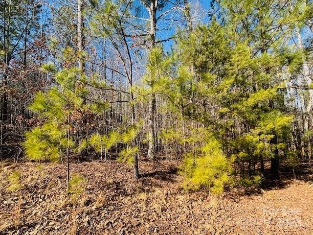 Creekside Cir #110, Rutherfordton, NC 28139