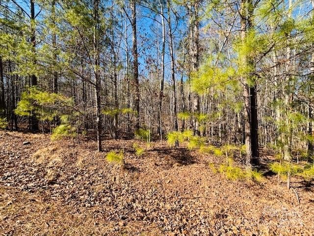 Creekside Cir #110, Rutherfordton, NC 28139