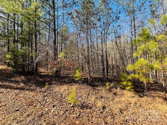 Creekside Cir #110, Rutherfordton, NC 28139