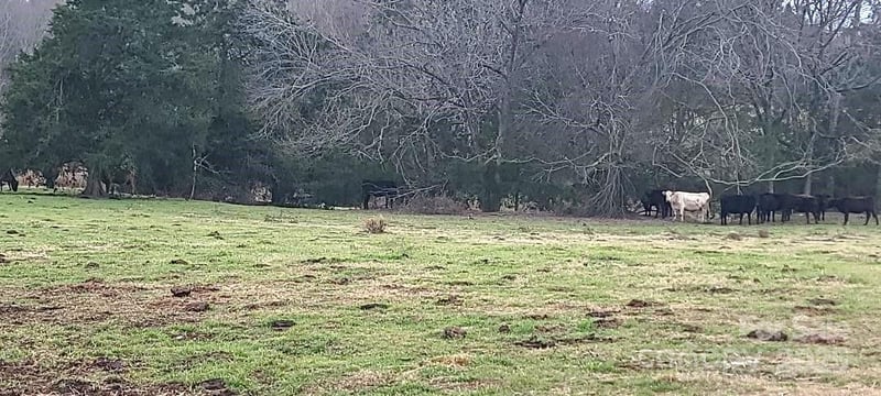 TBD Willie Usher Rd, Lancaster, SC 29720