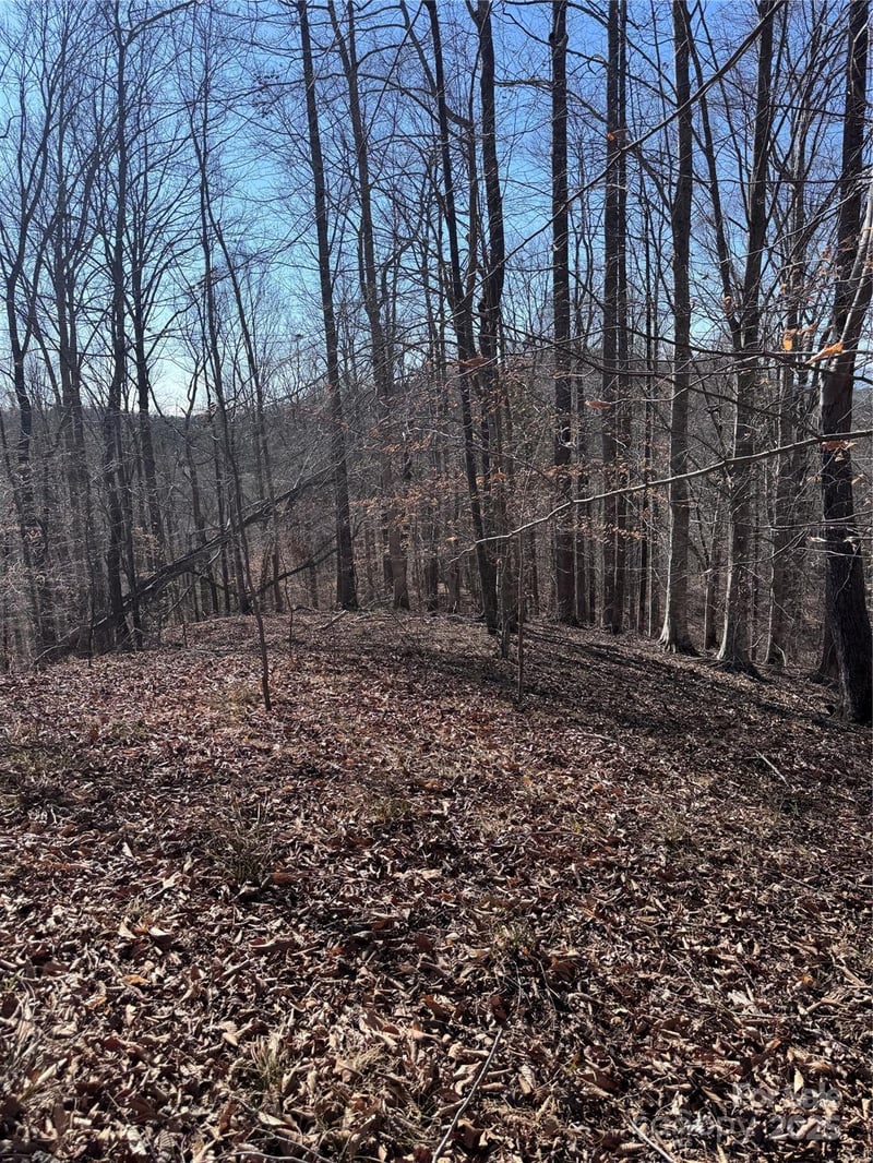 Cross Creek Dr #136A, Rutherfordton, NC 28139