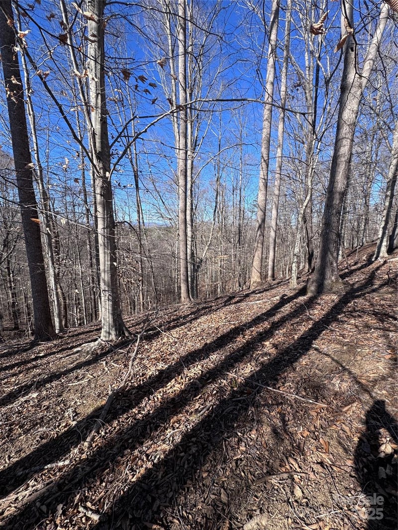 Cross Creek Dr #136A, Rutherfordton, NC 28139