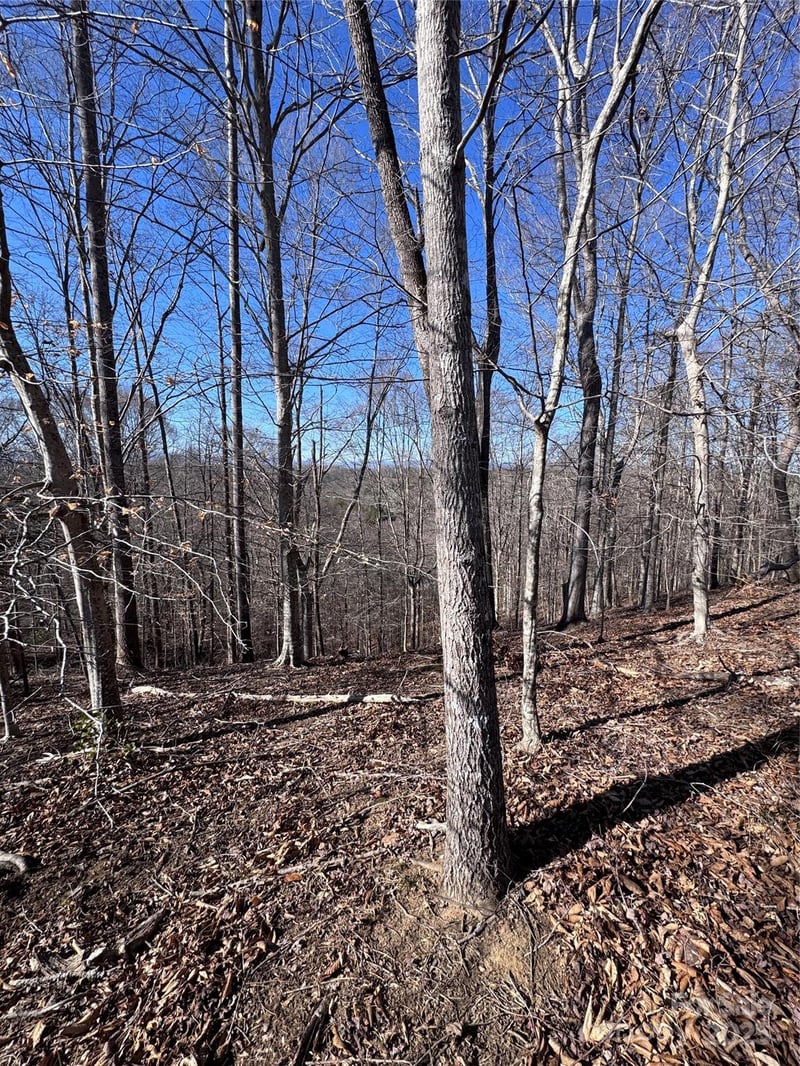 Cross Creek Dr #136A, Rutherfordton, NC 28139