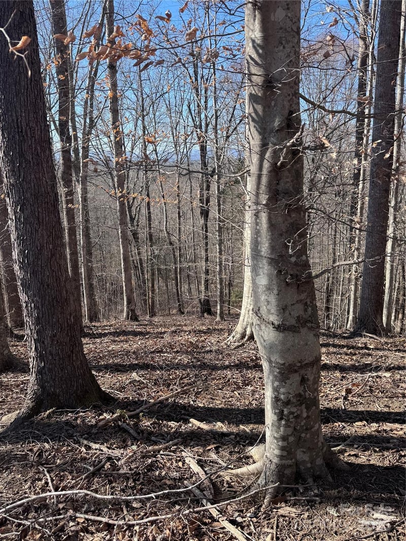 Cross Creek Dr #136A, Rutherfordton, NC 28139