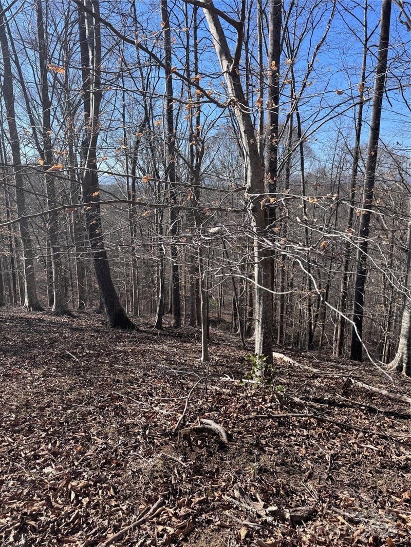 Cross Creek Dr #136A, Rutherfordton, NC 28139