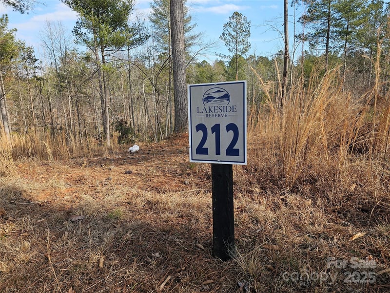 3318 Pyramid Peak Trl #212, Connelly Springs, NC 28612