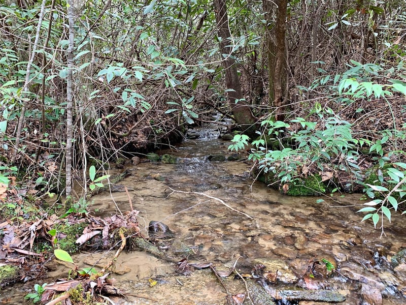 Lot 64 Peppervine Cir, Rosman, NC 28772
