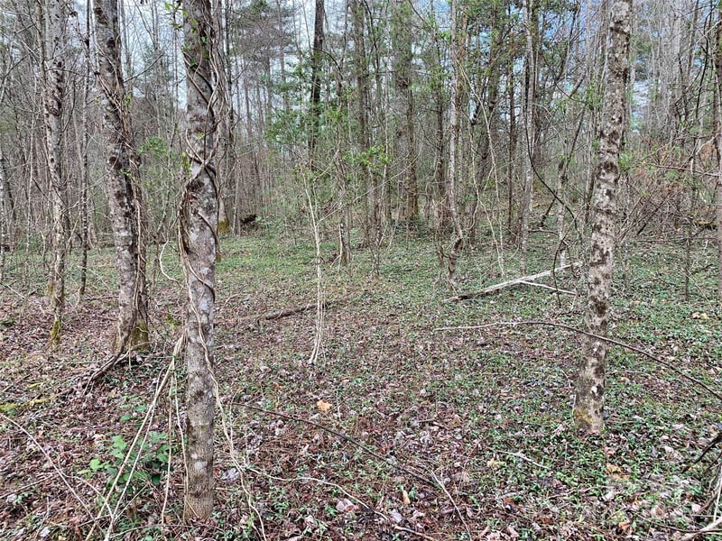 Lot 64 Peppervine Cir, Rosman, NC 28772